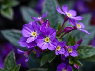 A close-up shot of vibrant purple flower petals and delicate leaves intertwined in a beautiful natural display, vibrant, fresh, purple