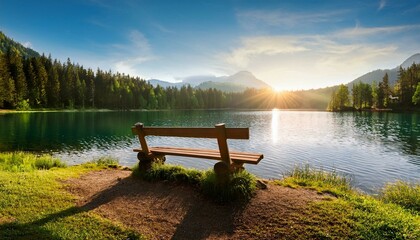 Obraz premium bench in the morning