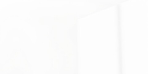 Realistic shadow effect on a blank white wall for design projects, effect, blank, space