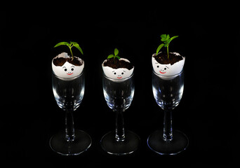 Funny figurines made of eggshells with painted faces and young tomato sprouts in shot glasses on a dark background