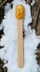 Popsicle of golden maple taffy during sugar season