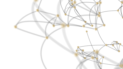 Abstract Network Connection with Golden Nodes