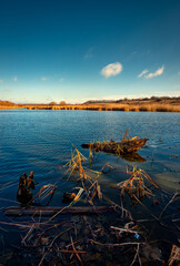 Landscape photography on the wide-angle lense, river at the morning in the fall season.Blue and beautiful water,reclections on water.Clouds in the blue sky, trees on the beach , sunny morning.Branches