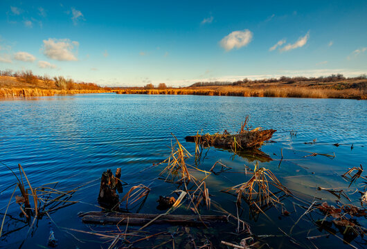 Landscape photography on the wide-angle lense, river at the morning in the fall season.Blue and beautiful water,reclections on water.Clouds in the blue sky, trees on the beach , sunny morning.Branches