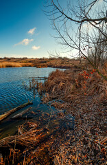 Landscape photography on the wide-angle lense, river at the morning in the fall season.Blue and beautiful water,reclections on water.Clouds in the blue sky, trees on the beach , sunny morning.Branches