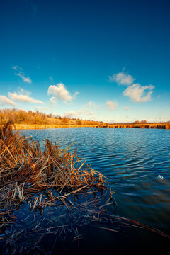Landscape photography on the wide-angle lense, river at the morning in the fall season.Blue and beautiful water,reclections on water.Clouds in the blue sky, trees on the beach , sunny morning.Branches