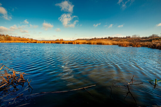 Landscape photography on the wide-angle lense, river at the morning in the fall season.Blue and beautiful water,reclections on water.Clouds in the blue sky, trees on the beach , sunny morning.Branches