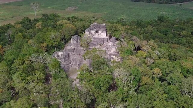 Close aerial circling shot of Mayan Pyramid emerging from the jungle.