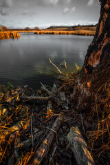 Landscape photography on the wide-angle lense, river at the morning in the fall season.Blue and beautiful water,reclections on water.Clouds in the blue sky, trees on the beach , sunny morning.Branches