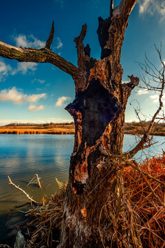 Landscape photography on the wide-angle lense, river at the morning in the fall season.Blue and beautiful water,reclections on water.Clouds in the blue sky, trees on the beach , sunny morning.Branches