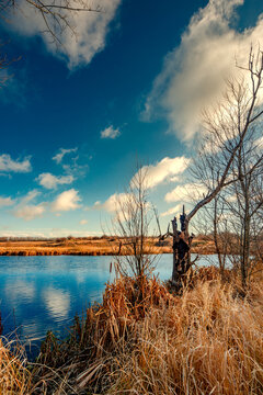 Landscape photography on the wide-angle lense, river at the morning in the fall season.Blue and beautiful water,reclections on water.Clouds in the blue sky, trees on the beach , sunny morning.Branches