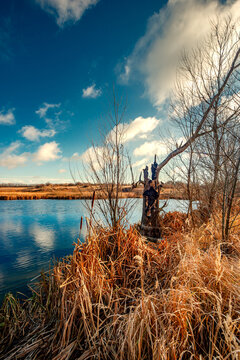 Landscape photography on the wide-angle lense, river at the morning in the fall season.Blue and beautiful water,reclections on water.Clouds in the blue sky, trees on the beach , sunny morning.Branches