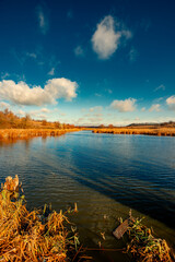 Landscape photography on the wide-angle lense, river at the morning in the fall season.Blue and beautiful water,reclections on water.Clouds in the blue sky, trees on the beach , sunny morning.Branches