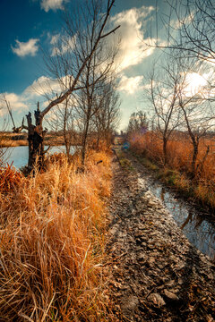 Landscape photography on the wide-angle lense, river at the morning in the fall season.Blue and beautiful water,reclections on water.Clouds in the blue sky, trees on the beach , sunny morning.Branches
