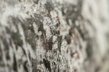 Textured surface showing natural patterns and variations in shades and colors