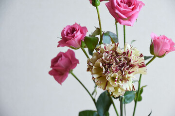 Fototapeta premium 薔薇とカーネーション