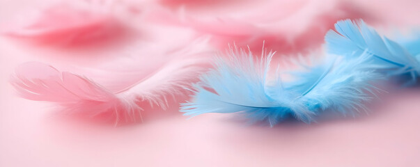 Pastel Pink and Blue Feathers, Delicate Softness Background Image