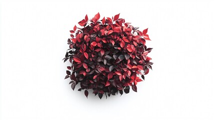 Naklejka premium Crimson Elegance: A Top View of Vibrant Red Leaves in Full Bloom