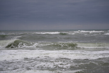 거칠게 밀려오는 파도