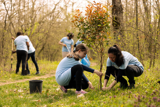 Mother and daughter cultivating life by planting trees in the forest, increasing vegetation and working on ways to preserve natural ecosystem. Family volunteering for reforestation plan.