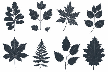 Dark Leaf Silhouettes. Botanical Illustration Set