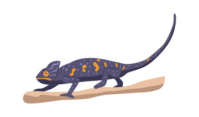 Chameleon tropical reptilian vector illustration