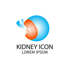kidney logo icon,vector illustration