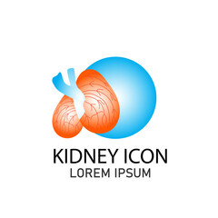 kidney logo icon,vector illustration