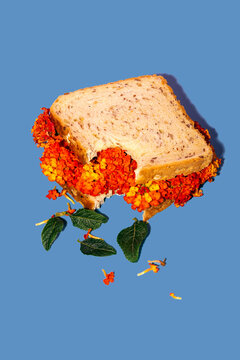 Naklejki Creative food photo: sandwich with vibrant flowers inside