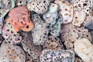 Vibrant Close-Up of Colorful Abalone Shell Fragments