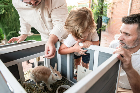 Gay parents with son enjoying pet rabbit outside in garden