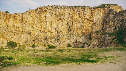 A beautiful and scenic Rocky Cliff adorned with lush green vegetation is truly captivating