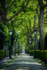 Obraz premium Serene Urban Avenue with Tree Canopy and Cobblestone Road Lined with Historic Architecture