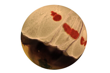 Planets for use in your photos or art images. Made from liquid art using water, paint, soap, oil...