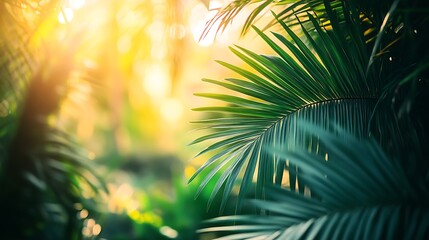 Lush Green Palm Fronds in Sunlight