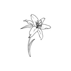 a black and white drawing of a flower, design element vector