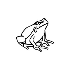 a line art drawing of a frog on a white background
