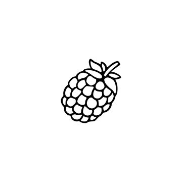 ripe raspberry on white background