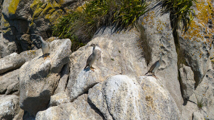 drone shot of a beach with trees, rocks and beautiful water