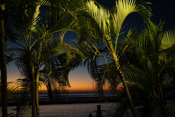 Hawaii Waikiki beach