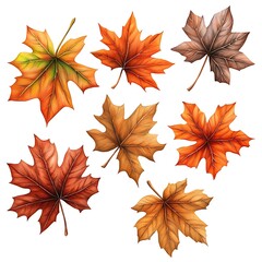 A Beautiful Collection of Watercolor Autumn Leaves Showcasing a Variety of Colors and Textures Perfect for Fall-Inspired Designs and Projects