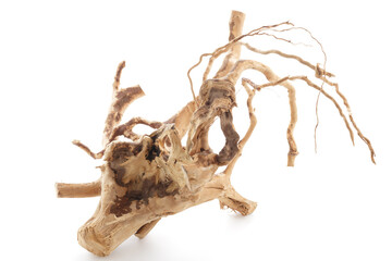 Various pieces of dried driftwood isolated on white background