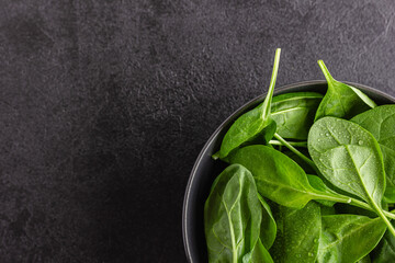 Fresh green spinach leaves in the bowl. Natural vegetarian food.