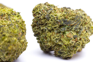 Weed isolated on white background