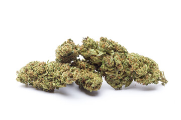 Marijuana flowers isolated on white background