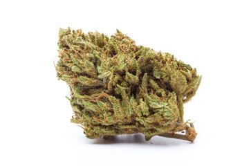 Cannabis flower isolated on white background