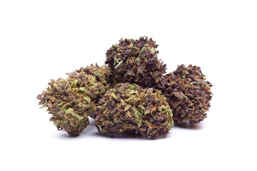 Marijuana flowers isolated on white background