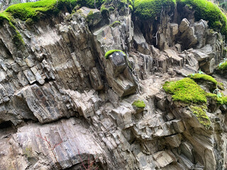  Moss-Covered Rock Formation in a Natural Forest Setting