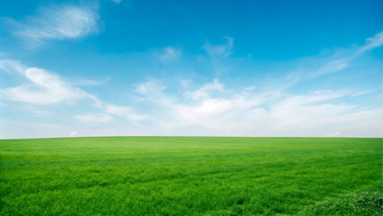 Obraz premium Sunny summer day with a green field and blue sky5