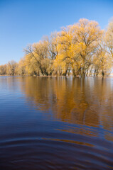Landscape of spring flood.